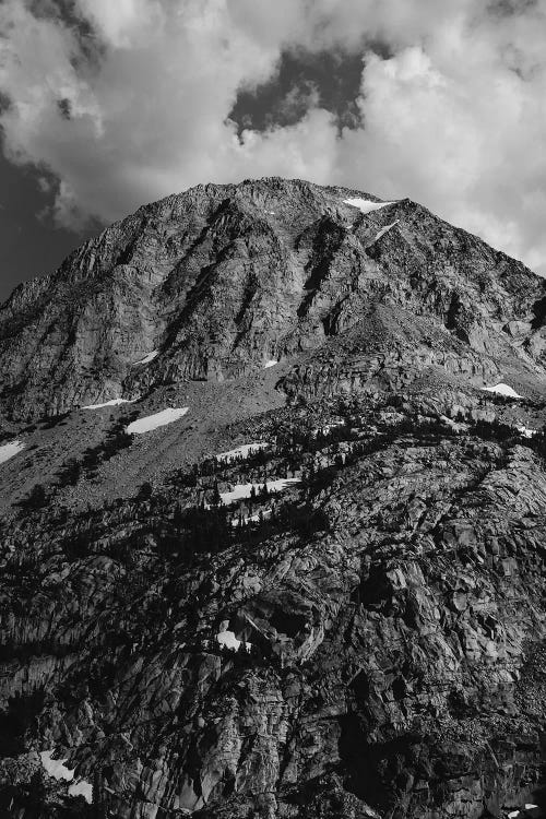 Yosemite National Park XI