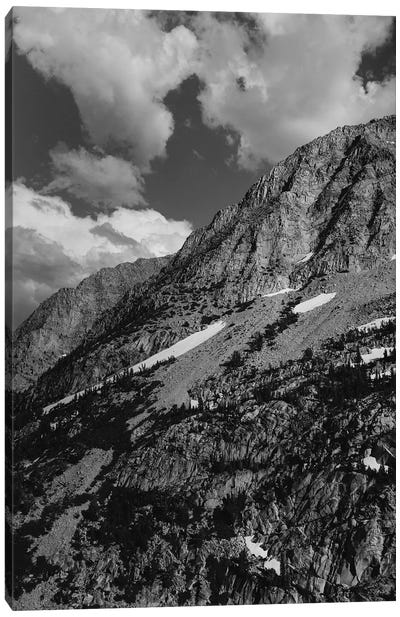 Yosemite National Park XII Canvas Art Print - Bethany Young