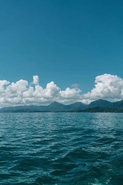 Oahu: Oahu Hawaii IX by Bethany Young