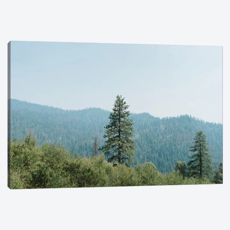 Yosemite National Park XVI Canvas Print #BTY682} by Bethany Young Art Print