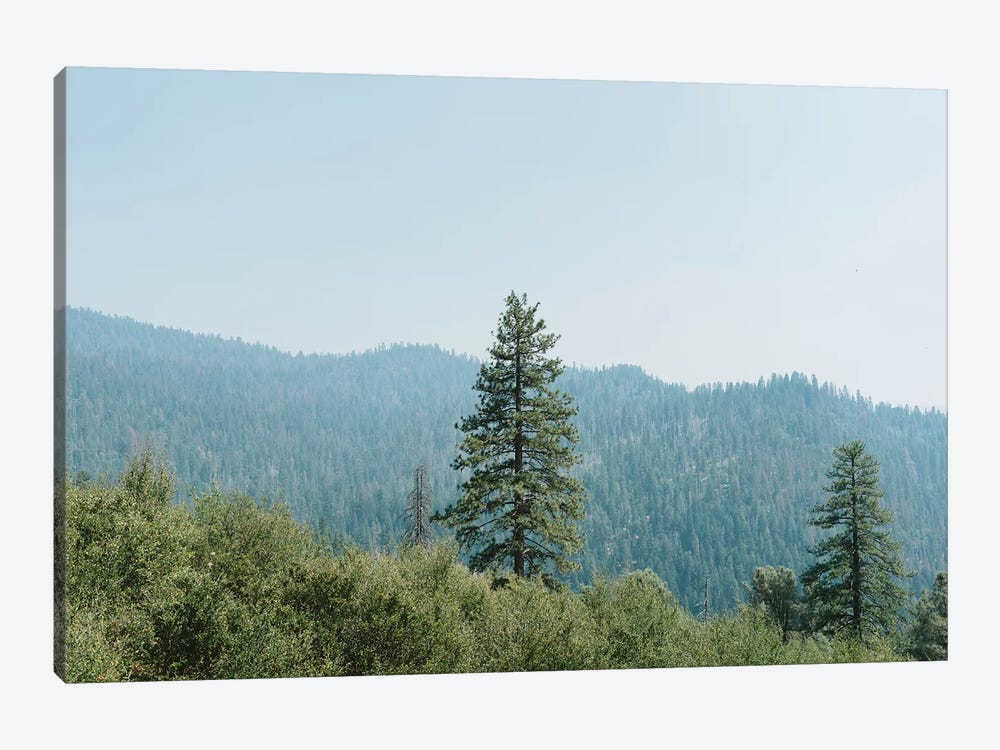Yosemite National Park XVI by Bethany Young 1-piece Canvas Wall Art