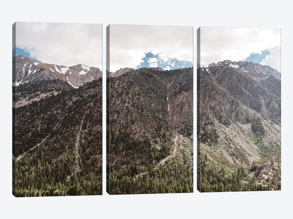 Yosemite National Park by Bethany Young 3-piece Canvas Art Print