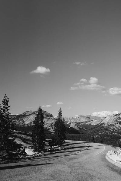 Black & White Florals: Yosemite Road Trip by Bethany Young