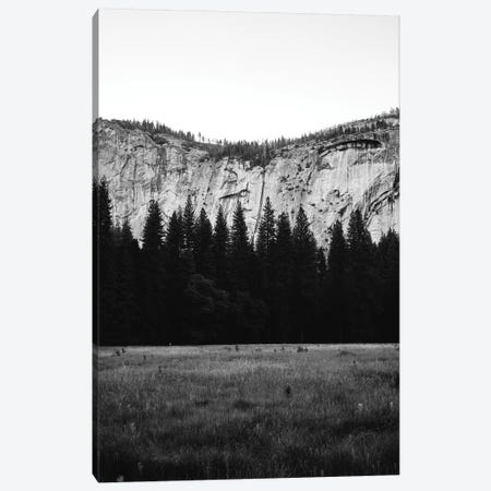 Yosemite Valley IV Canvas Print #BTY690} by Bethany Young Canvas Art