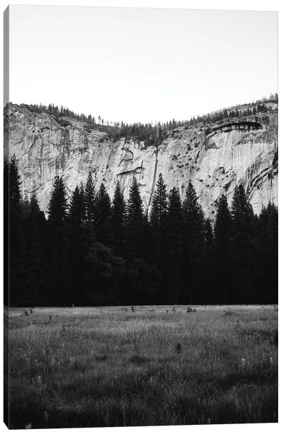 Yosemite Valley IV Canvas Art Print - Grass Art
