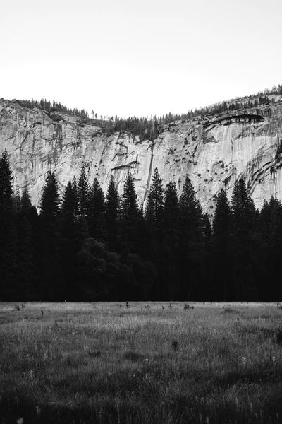 Yosemite National Park: Yosemite Valley IV by Bethany Young