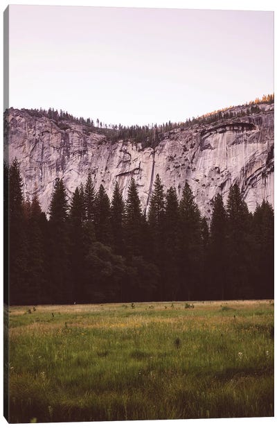 Yosemite Valley V Canvas Art Print - Grass Art