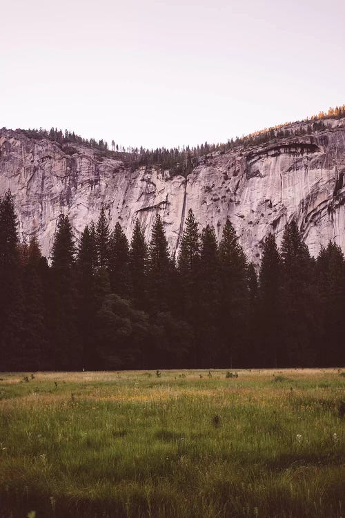 Yosemite Valley V