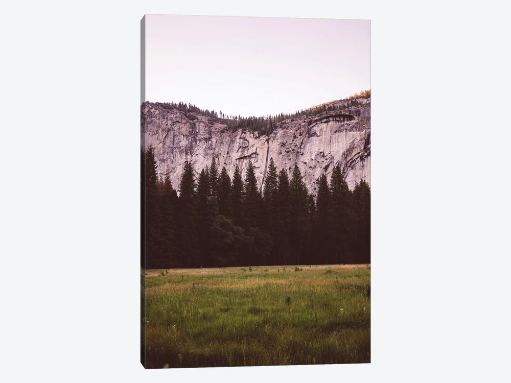 Yosemite Valley V by Bethany Young 1-piece Canvas Wall Art