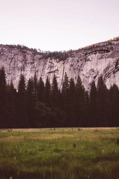 Yosemite National Park: Yosemite Valley V by Bethany Young