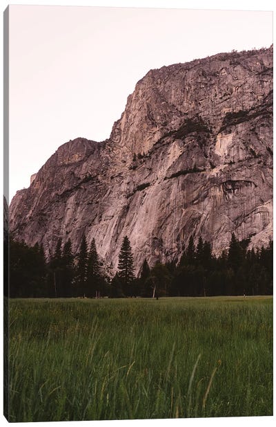 Yosemite Valley Canvas Art Print - Grass Art