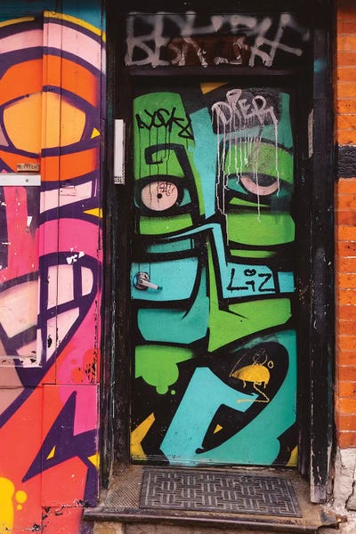 Doors: Chicago by Bethany Young