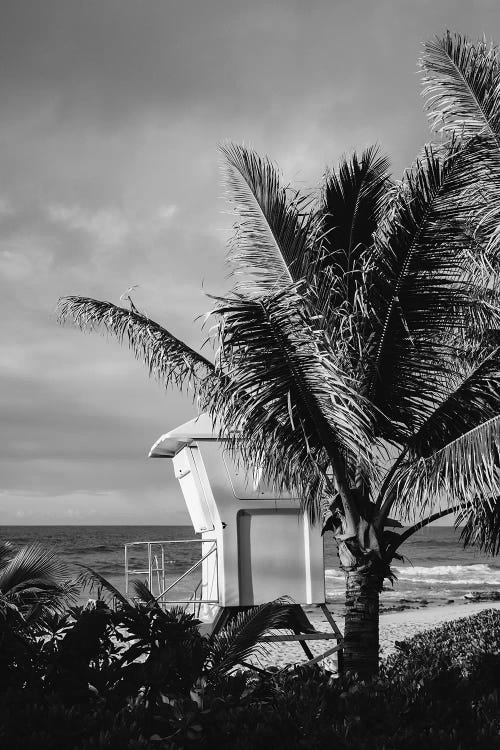 Hawaii Lifeguard Post II