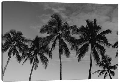 Hawaiian Palms Canvas Art Print - Beach Art