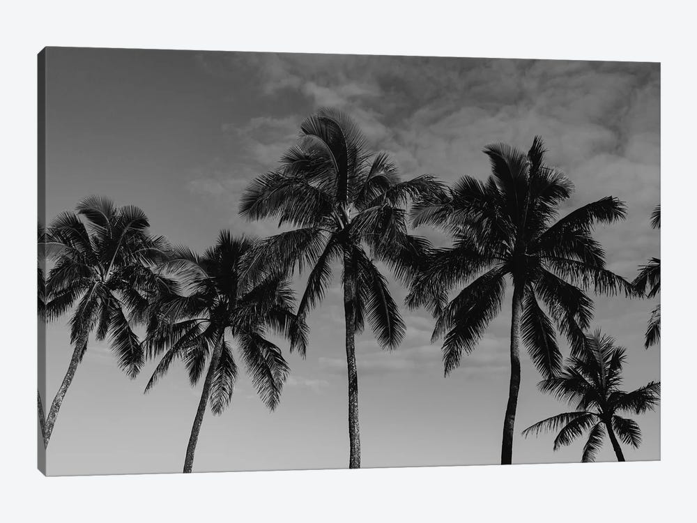 Hawaiian Palms by Bethany Young 1-piece Art Print