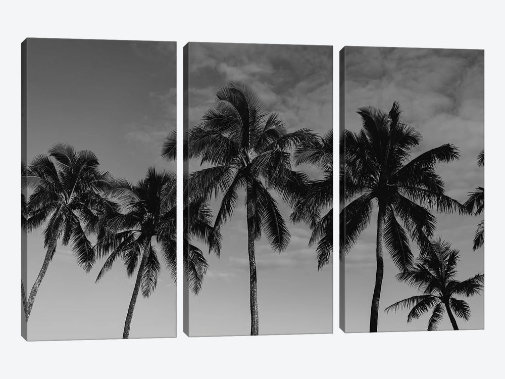 Hawaiian Palms by Bethany Young 3-piece Canvas Print