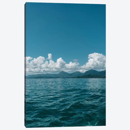 Hawaiian View Canvas Print #BTY714} by Bethany Young Canvas Artwork