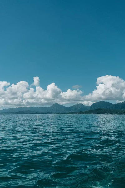 Islands: Hawaiian View by Bethany Young