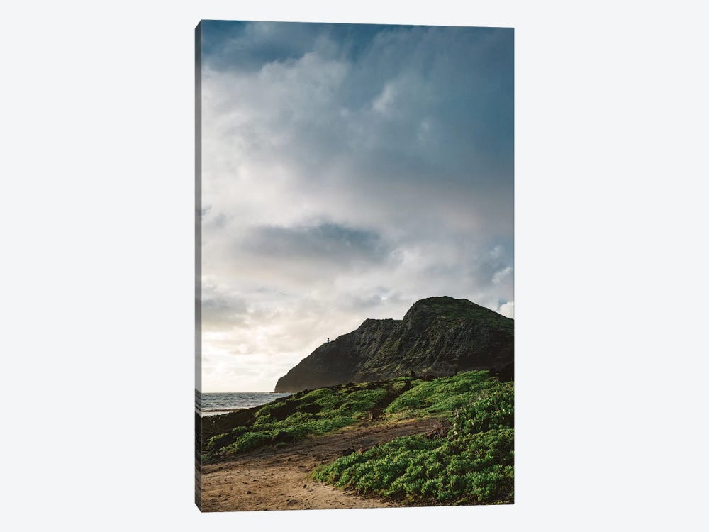 Makapu'u Point Lighthouse by Bethany Young 1-piece Canvas Artwork