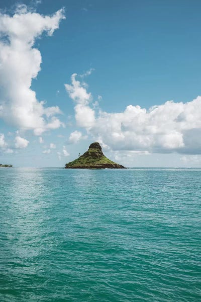 Honolulu: Mokoli'i by Bethany Young