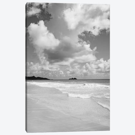 Monochrome Hawaii Canvas Print #BTY720} by Bethany Young Canvas Art