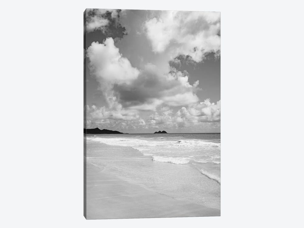Monochrome Hawaii by Bethany Young 1-piece Canvas Print