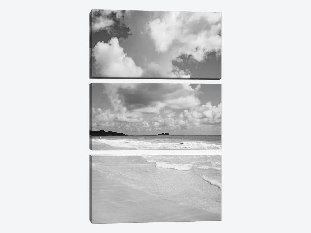 Monochrome Hawaii by Bethany Young 3-piece Canvas Print