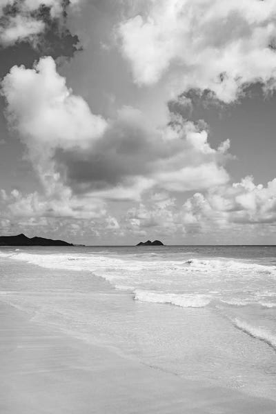 Hawaii: Monochrome Hawaii by Bethany Young