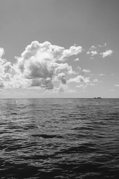 Hawaii: Monochrome Ocean View II by Bethany Young