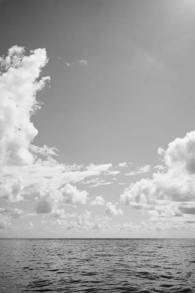 Hawaii: Monochrome Ocean View III by Bethany Young