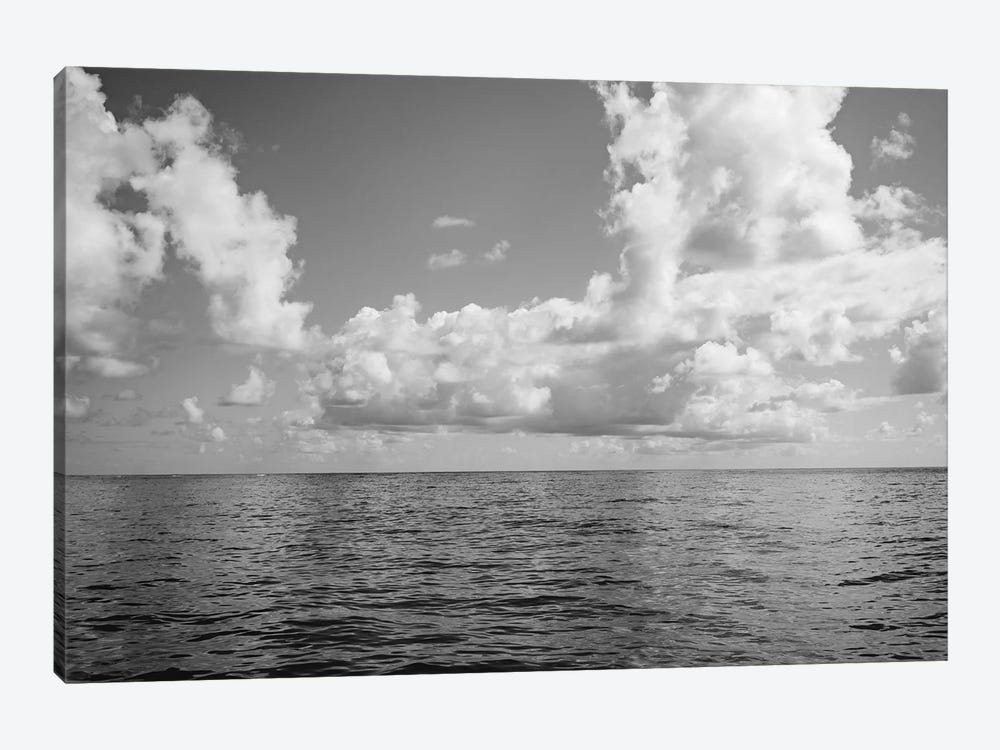Monochrome Ocean View by Bethany Young 1-piece Canvas Art