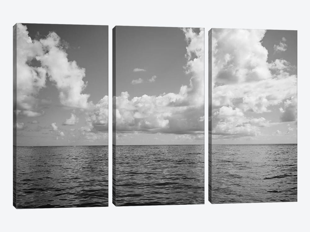 Monochrome Ocean View by Bethany Young 3-piece Canvas Wall Art