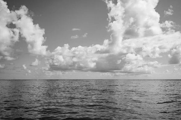 Hawaii: Monochrome Ocean View by Bethany Young