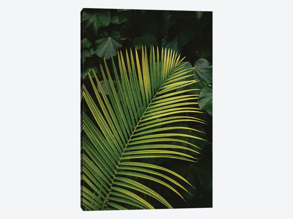 Tropical Hawaii II by Bethany Young 1-piece Art Print