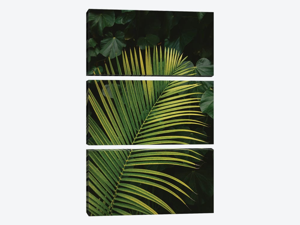 Tropical Hawaii II by Bethany Young 3-piece Canvas Print