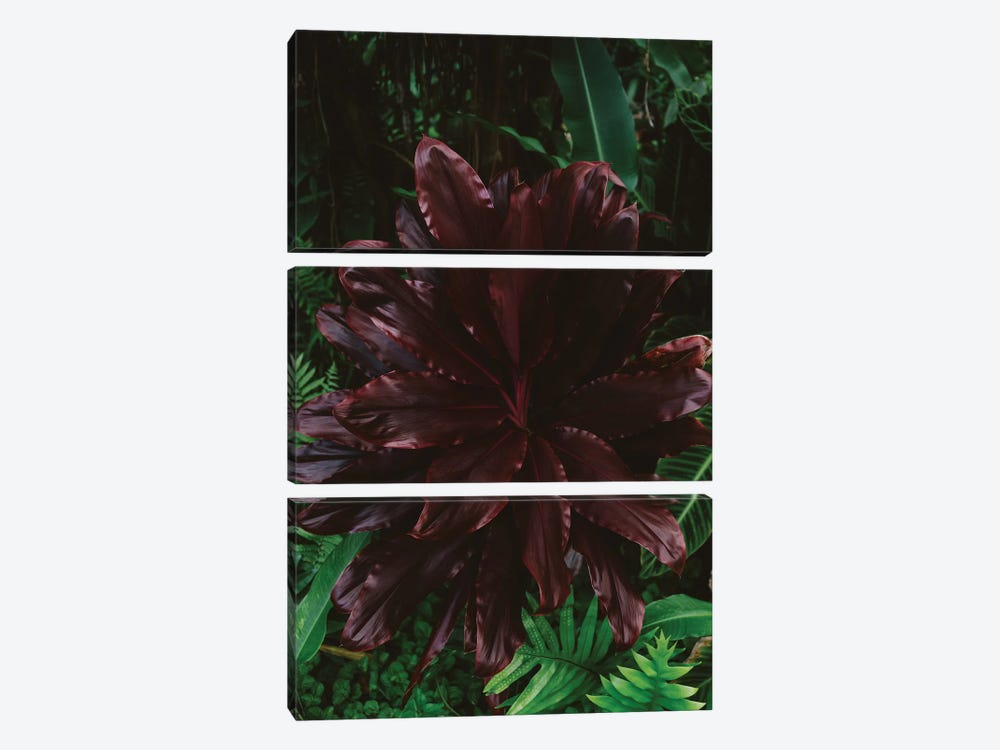 Tropical Hawaii VI by Bethany Young 3-piece Art Print
