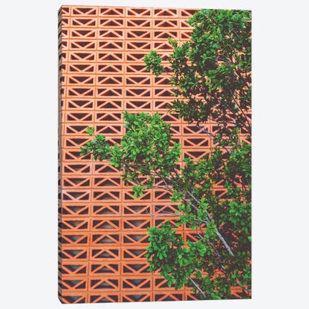 Southwestern Tree Canvas Print #BTY756} by Bethany Young Canvas Art