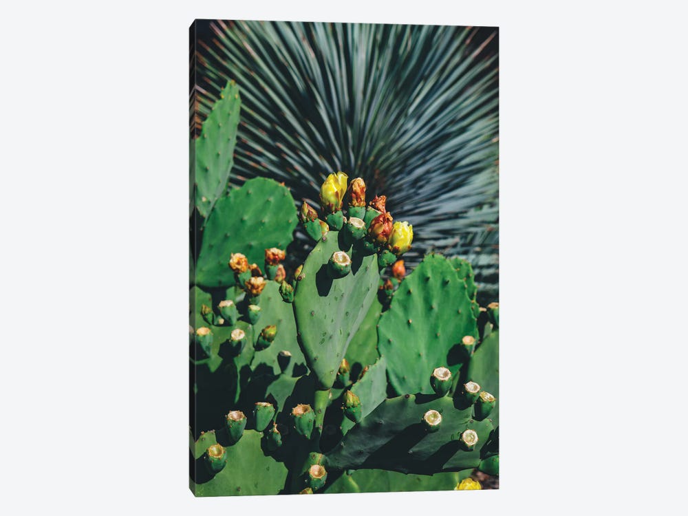 Wild Blooms by Bethany Young 1-piece Art Print