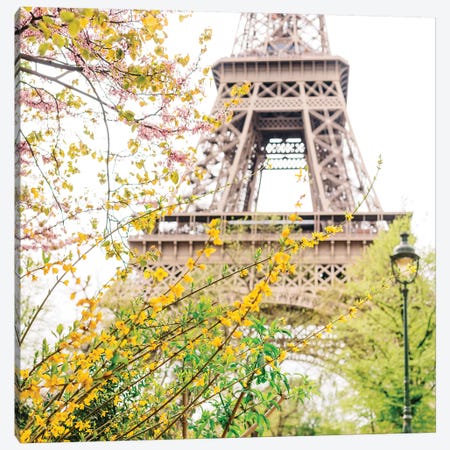 Eiffel Tower VII Canvas Print #BTY773} by Bethany Young Canvas Print