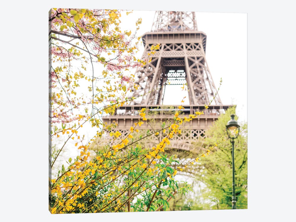 Eiffel Tower VII by Bethany Young 1-piece Canvas Art Print