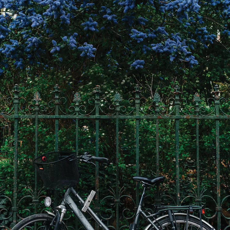 Paris Bicycle