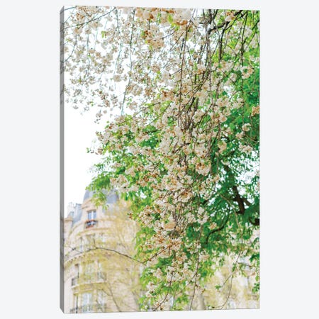 Paris Garden II Canvas Print #BTY809} by Bethany Young Art Print