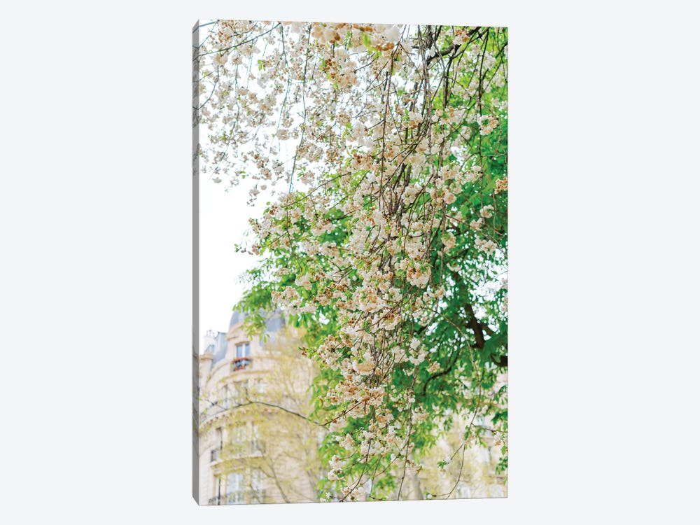 Paris Garden II by Bethany Young 1-piece Canvas Wall Art