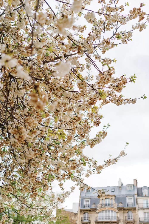 Paris Garden