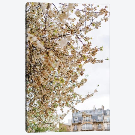 Paris Garden Canvas Print #BTY813} by Bethany Young Canvas Artwork