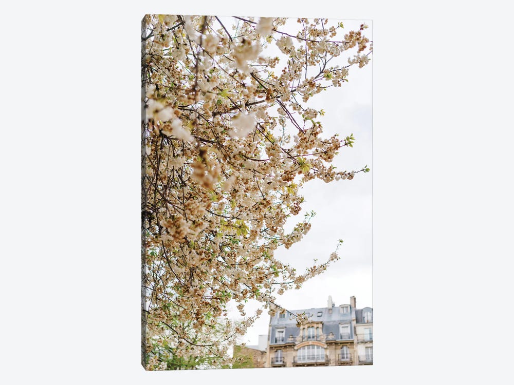 Paris Garden by Bethany Young 1-piece Canvas Print