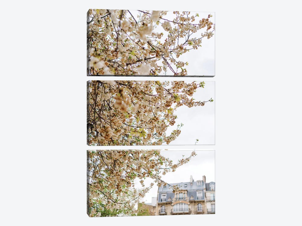 Paris Garden by Bethany Young 3-piece Art Print