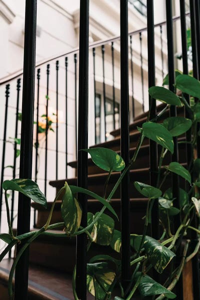 Staircases: Parisian Stairs by Bethany Young