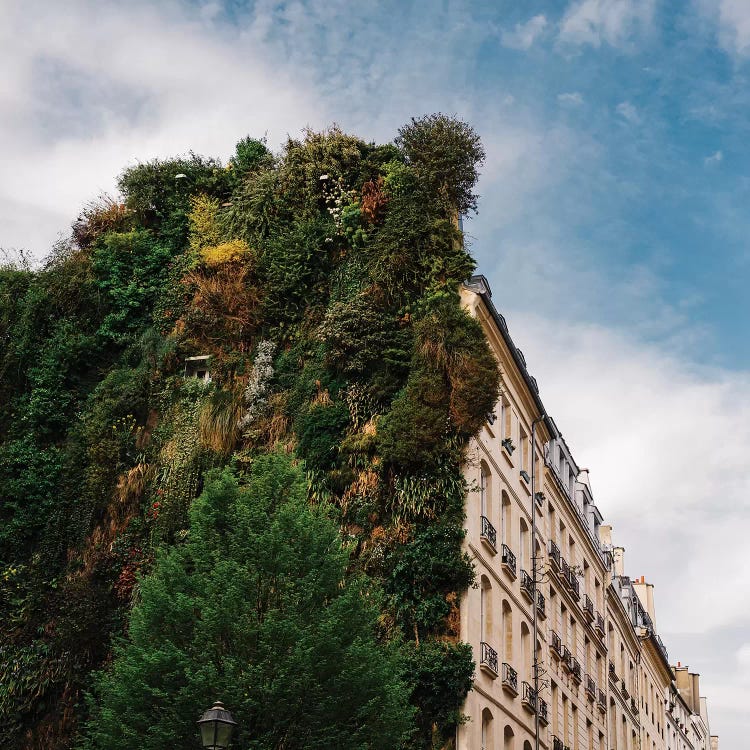 Parisian Vertical Garden II