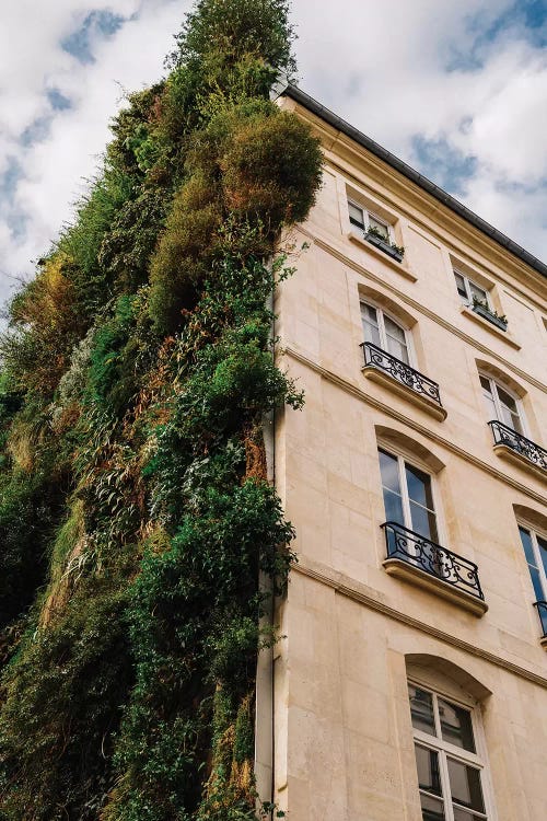 Parisian Vertical Garden IV